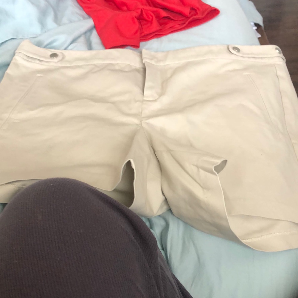 Torrid Shorts